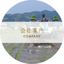 会社案内